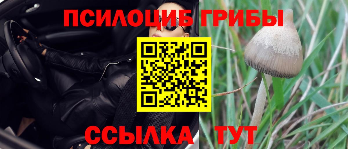 Псилоцибиновые грибы GOLDEN TEACHER Мытищи