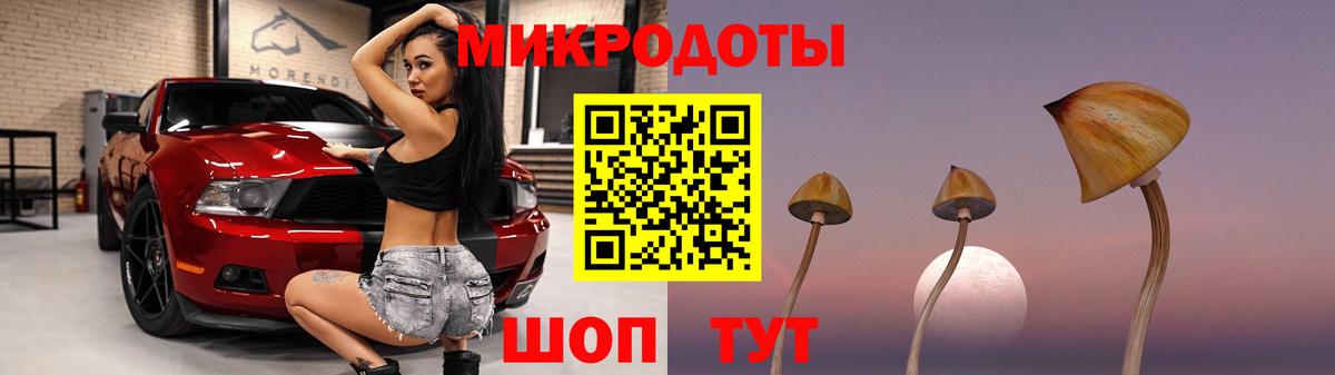 Галлюциногенные грибы Magic Shrooms  Галлюциногенные грибы GOLDEN TEACHER  Вход с VPN  купить наркоту  Мытищи 